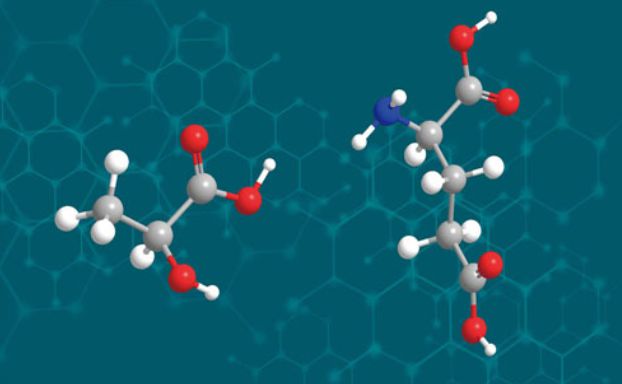 PA610,PA1010--商品化的生物基聚酰胺產品